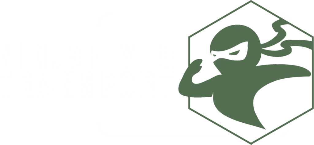 ninja flyt - logo